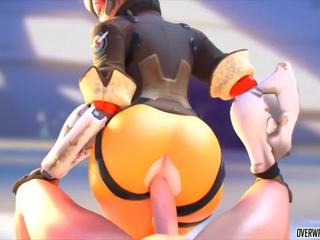 뿔의 과 못된 tracer 부터 overwatch 도착 고양이.